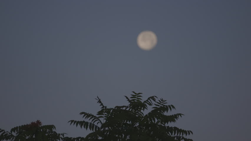 Moon in the sky
Shooting the moon in a beautiful evening, a Nature Video by TRAIPLER_SHOP