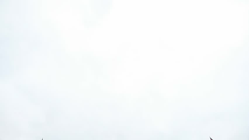 video footage of the german parliament (Reichtag, Bundestag)