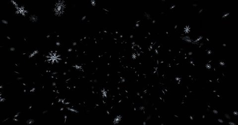 Animated Detailed Snow Flakes On Stock Footage Video 100 Royalty Free Shutterstock