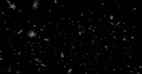 Animated Detailed Snow Flakes On Stock Footage Video 100 Royalty Free Shutterstock Animated Detailed Snow Flakes On Stock Footage Video 100 Royalty Free Shutterstock
