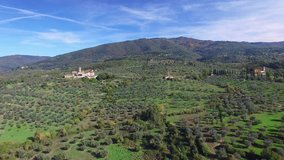 Tuscan olive fields, a suggestive aerial video over an olive fields in amazing Tuscan landscape in a beautiful day