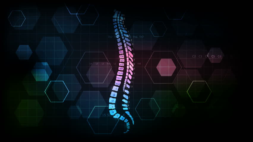 Spine health care abstract dark colorful… - Royalty Free Video