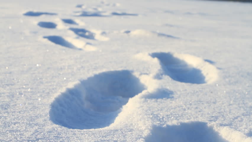  Shoe footprints on the snow
