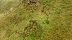Unique Ecosystem in Desert: Lachay Hills (Peru) Aerial video footage in 4K resolution