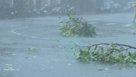 New Taipei City, Taiwan. September 27, 2016: Trees blowing in surge of typhoon Wind and Rain in city streets with cars driving past