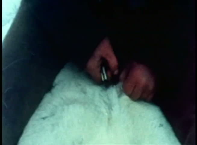 Medium shot of hunter skinning dead animal