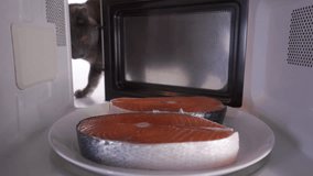 Cute gray cat waiting for a tasty meal sniffs raw frozen fish steak on a plate in the microwave. Microwaving salmon steaks to defrost before cooking it. 