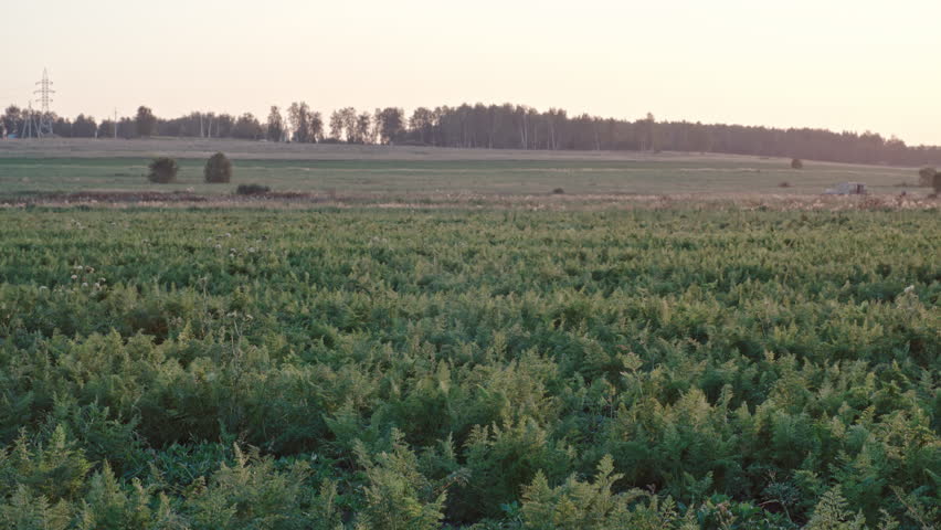 Tracking of young farmers walking with cart and wooden crates full of fresh harvest