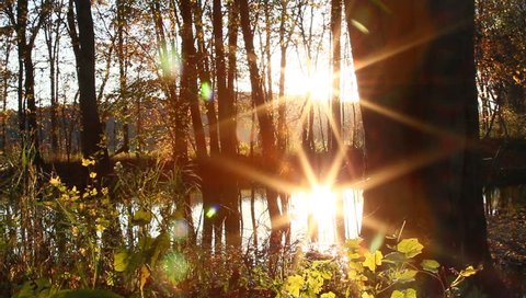 Sun flare and it's reflection in water in the wilderness in Autumn season