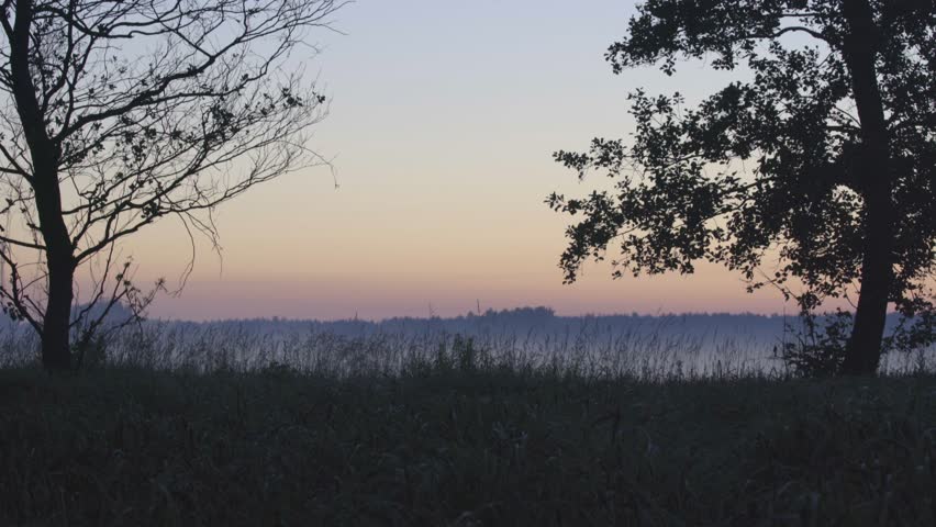 WILD SWAMP LANDSCAPE, SUNSET
