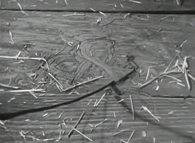 Close-up of person drawing number 8 on dirt floor with stick