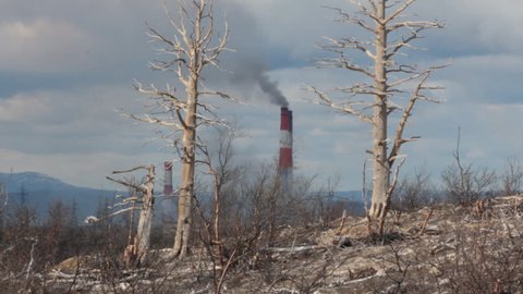 Result of air pollution. Dead forest: withered trees on backdrop of hills and steaming pipes of metallurgical plant, dead naked tree on background of Smoking chimneys. Concept of the dying Earth