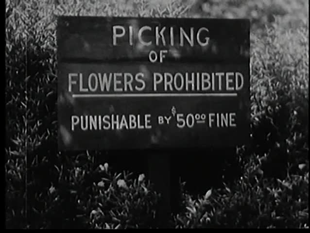 Warning sign at park