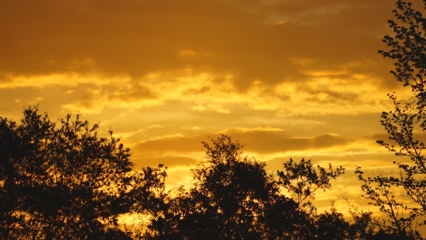 Orange sunrise in Georgia