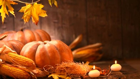 Pumpkin, Squash. Happy Thanksgiving Day wooden Table Background decorated with pumpkins, corn comb, candles and autumn leaves garland. Holiday Autumn festival scene, Fall, Harvest. Full HD 1080p video