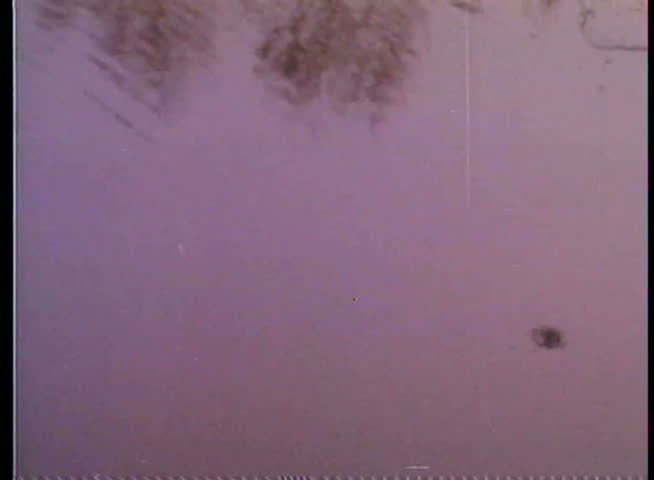 Raindrops falling on water