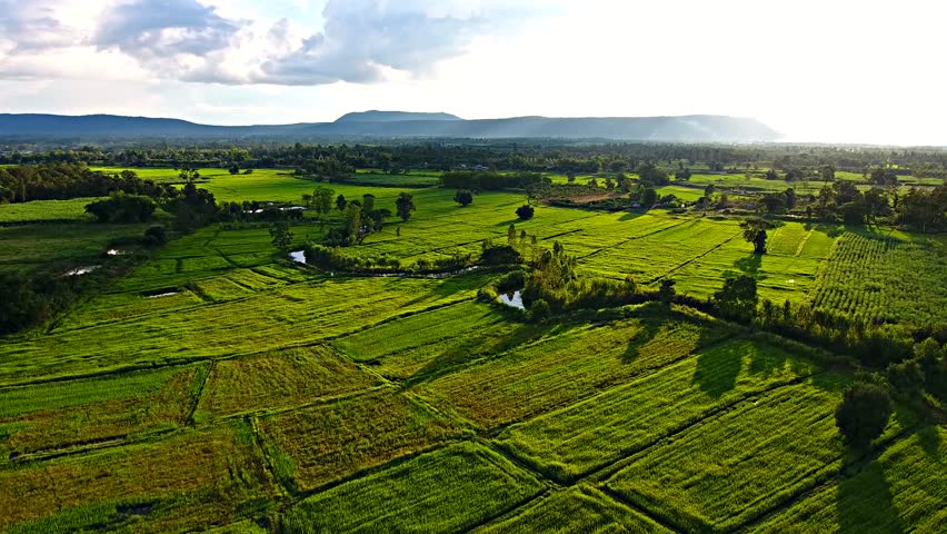 Aerial view of the big Buddha on the hilltop