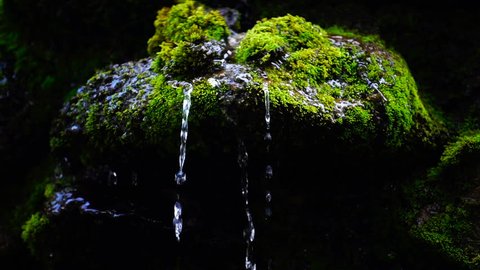 Slow motion close up of waterfall splash, spring water as it falls and dribbles on rocks covered with green moss