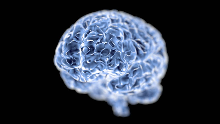 Brain rotate. Human brain rotating against a dark background, animation ...