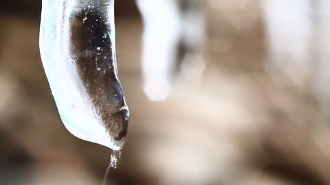 Water drop on the ice pipe in the nature. Video stock