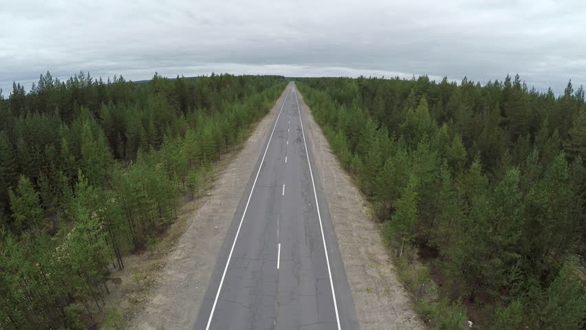 Aerial View on the  Road in Summer Pine Forest