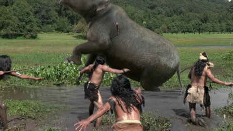 Humans attacks baby mammoth