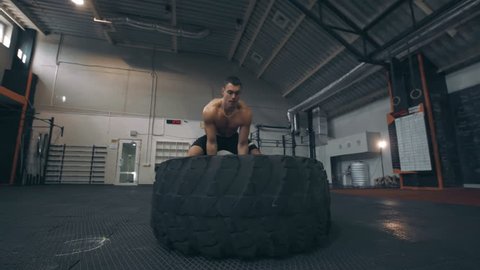 Fit muscular man doing crossfit exercises working out lifting a large rubber tyre in a gym, low angle view in a healthy lifestyle and fitness concept