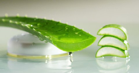 Composition of aloe vera. Concept of beauty cream derived from Aloe, natural medicine and care for the body rejuvenation based on hyaluronic acid. Skin to sunburn and aloe vera. concept of refreshing