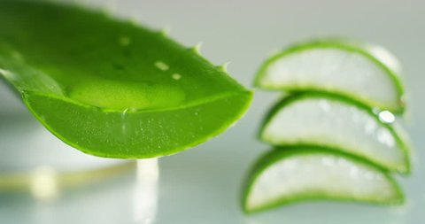 Composition of aloe vera. Concept of beauty cream derived from Aloe, natural medicine and care for the body rejuvenation based on hyaluronic acid.
skin to sunburn and aloe vera. concept of refreshing