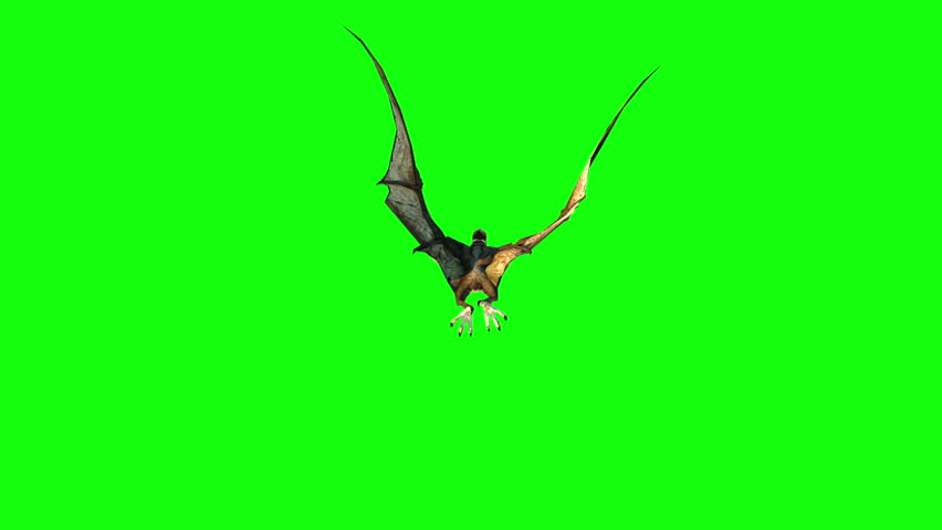 Pterodactyl Porn Video