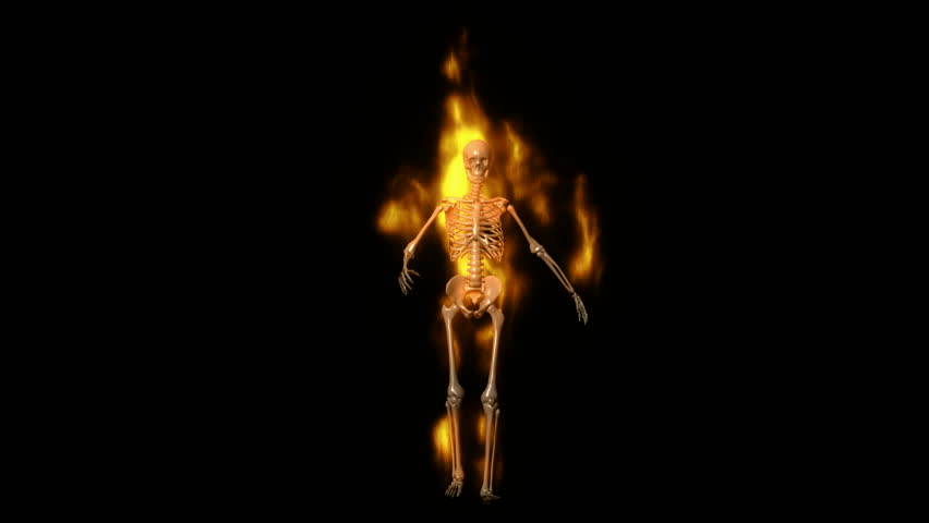 Skeleton walking forward. HD 1080. 3d animation