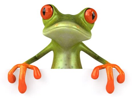 Frog with a blank sign _ PAL