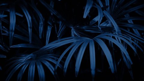 Jungle Ferns In Breeze At Night