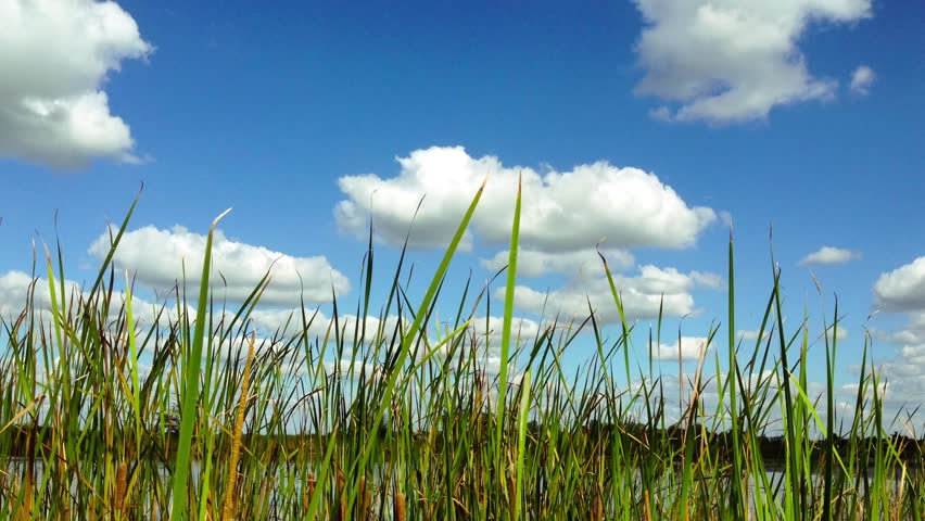 Timelapse of Clouds and Blue Sky at the Lake.