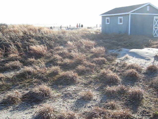 house at  jones beach, new york
