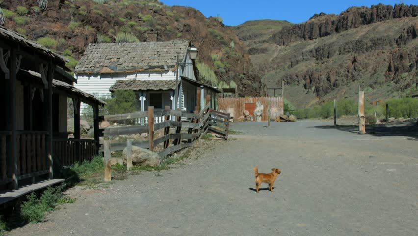 Dog in front of the house