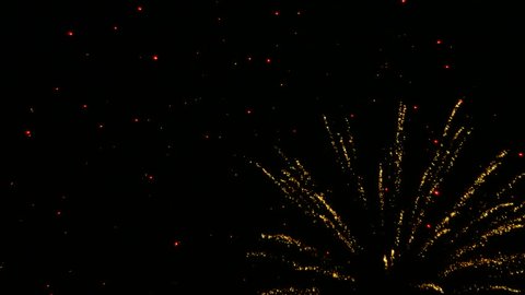 Colorful fireworks in dark night sky.