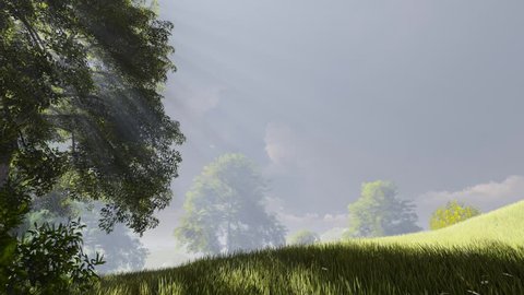 Landscapes with trees and green field.  The beams pass through the foliage. Flying clouds. 3D graphics video.