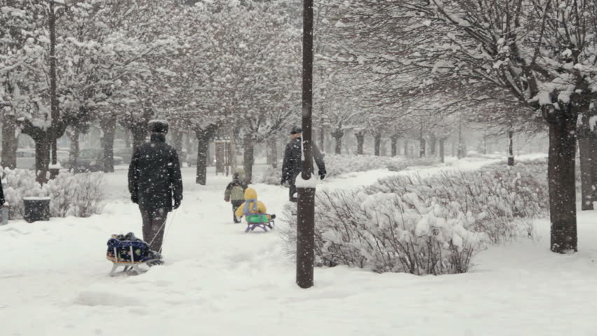 Snowing. Winter in City Park in krasnodar, Russia.