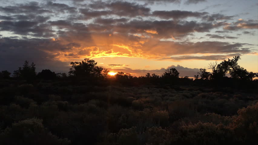  Sunrise Devil