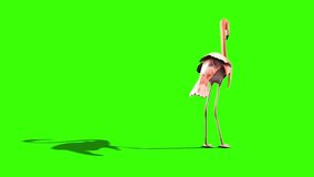 Pink Flamingo Eats Back Green Screen