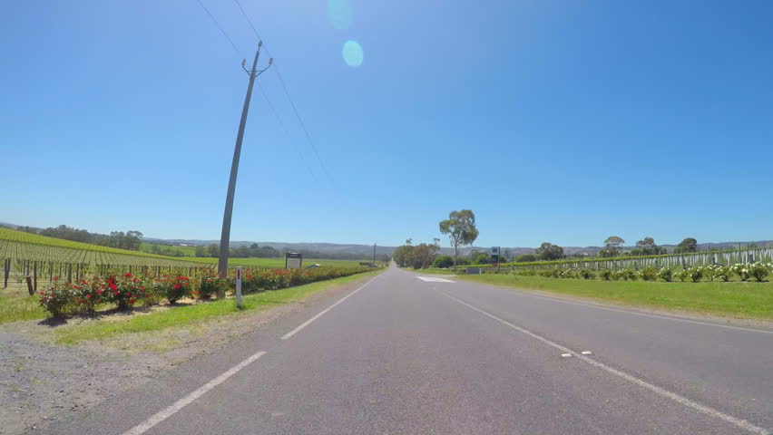 MCLAREN VALE, SOUTH AUSTRALIA - NOVEMBER 5, 2016: Automobile POV driving into the entrance of the Primo Estate winery with view of rows of grapevines. 