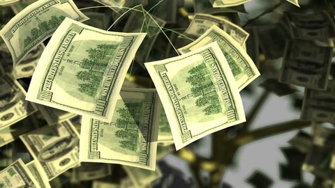 Funny money tree made up of hundred dollar bills shaking and shading the leaves
