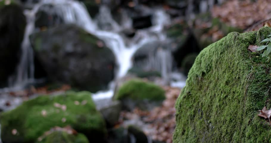 a Waterfall in the Mountains Autumn Forest With Yellow Foliage and Mossy Rocks