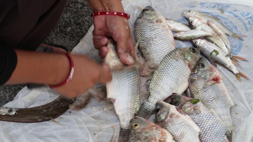 Nepalese women prepare fish for sale in a street market, Kathmandu. Nepal