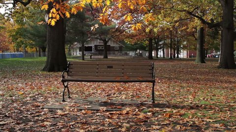 Park bench in Autumn with rust-colored leaves on the ground