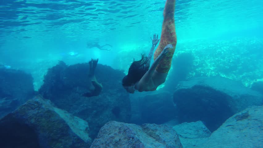 black hair Mermaid swimming underwater in the deep blue sea with a sea lion