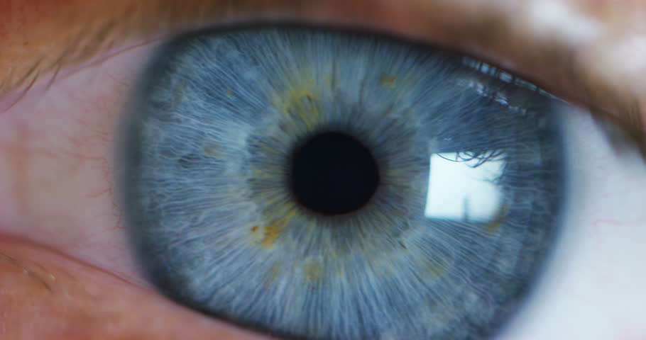 purple-blue-green-iris-eye image - Free stock photo - Public Domain photo - CC0 Images