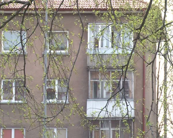retro block of flats apartment house and birch branches moving in wind.