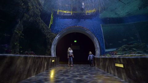 Giant Manta Ray Swims Overhead In Empty Aquarium Tunnel, Children Enter, Little Girl Spins In Circle With Excitement And Wonder, She Points To Shark Swimming Above Them